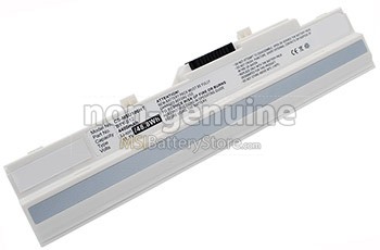 10.8V 4400mAh MSI Wind NB10051 battery replacement